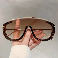 Tortoiuse Shell