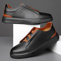 Black-Brown
