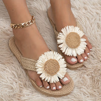 Daisy
