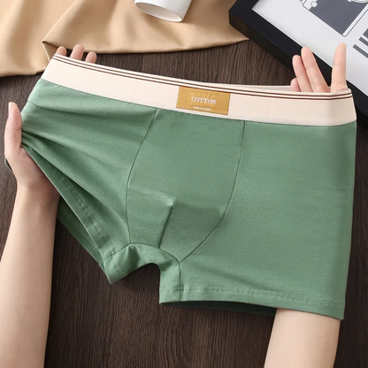 Cotton Theory Boxer Brief Set