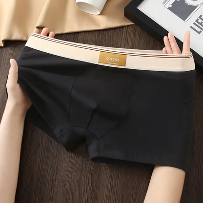 Cotton Theory Boxer Brief Set