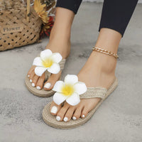 Tropical Plumeria